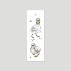 Chics - Bookmark