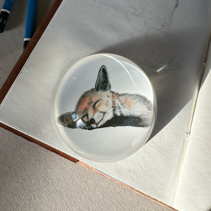 Felix - Paperweight