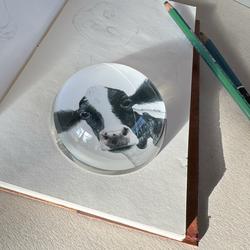 Rosa - Paperweight
