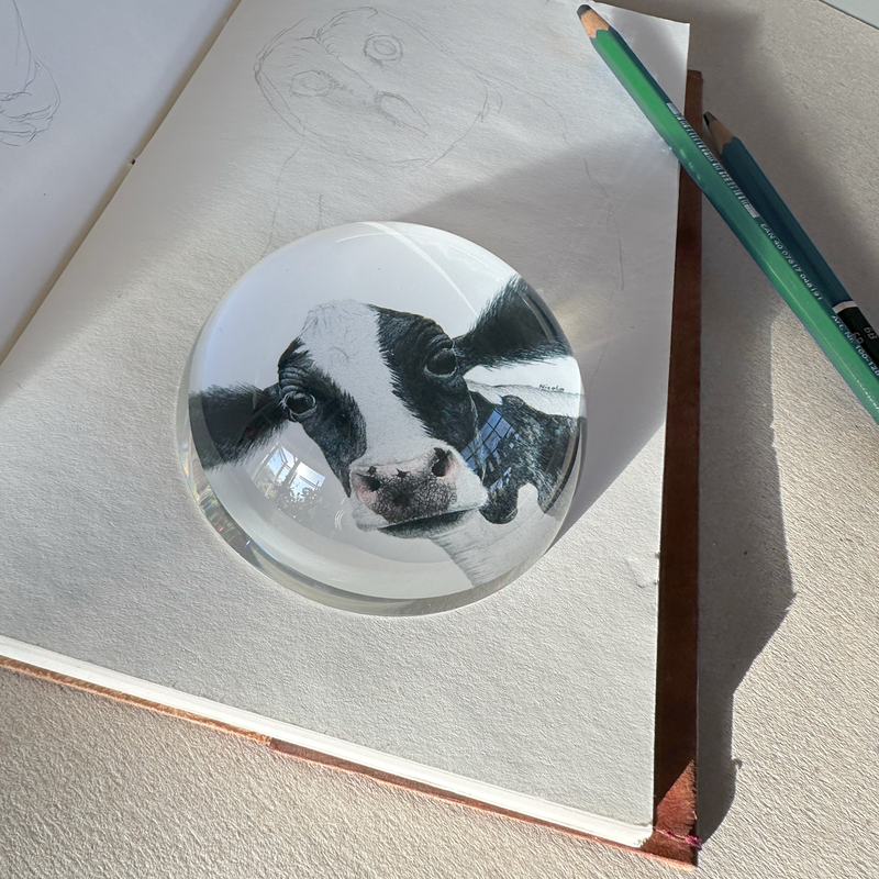 Rosa - Paperweight