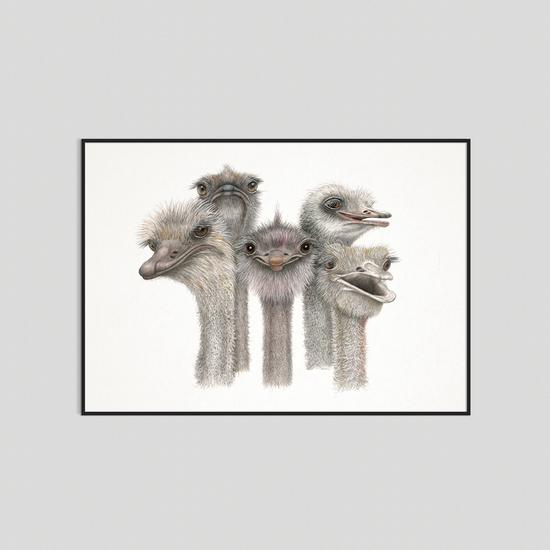 Tootsies- Fine art print