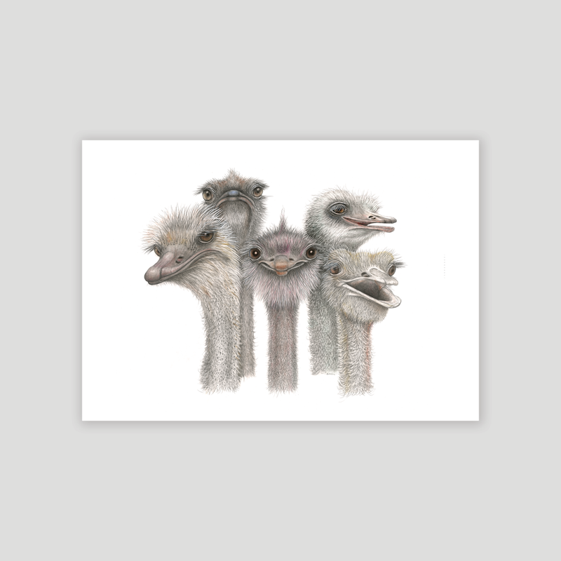 Tootsies- Fine art print