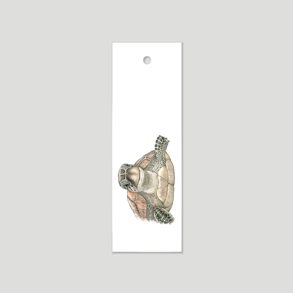 Toto the turtle - Bookmark