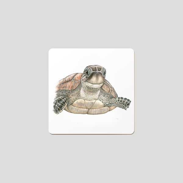 Toto the turtle - coaster