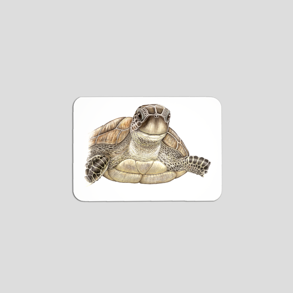 Toto the Sea turtle - Fridge magnet