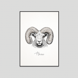 Aries - Fine art print