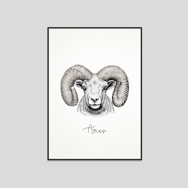 Aries - Fine art print