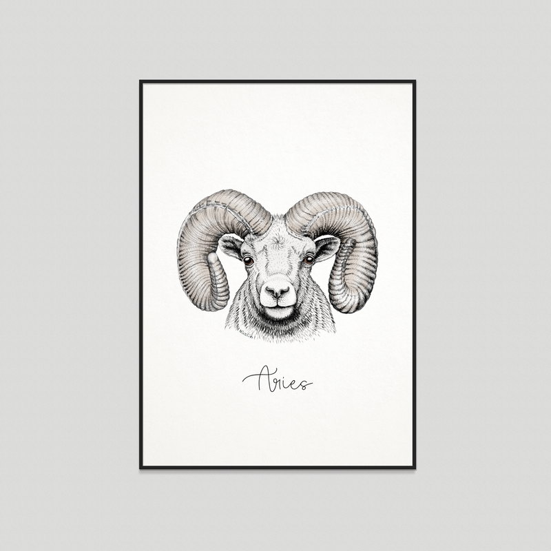 Aries - Fine art print