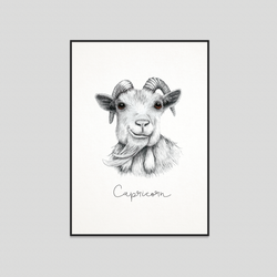 Capricorn - Fine art print