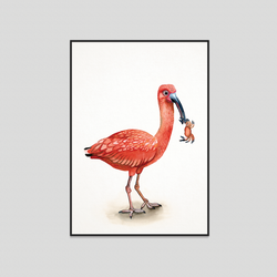 Iris - Fine art print