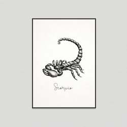 Scorpio - Fine art print