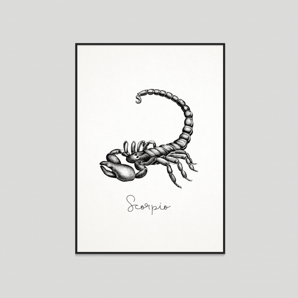 Scorpio - Fine art print