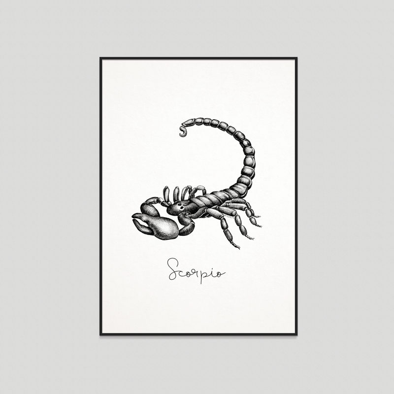 Scorpio - Fine art print
