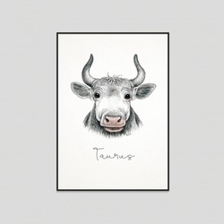 Taurus - Fine art print