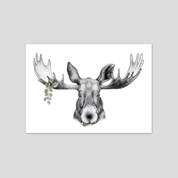 Forest Prince - Fine art print