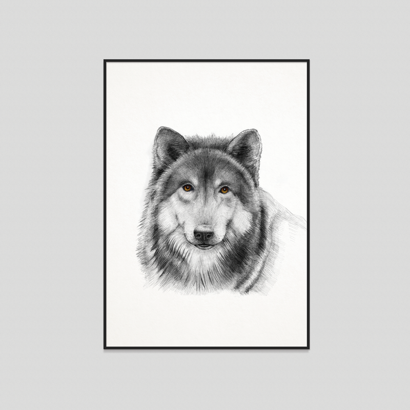 Woolfie - Fine art print