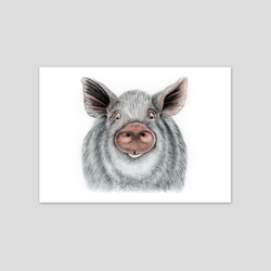 Oscar - Fine art print