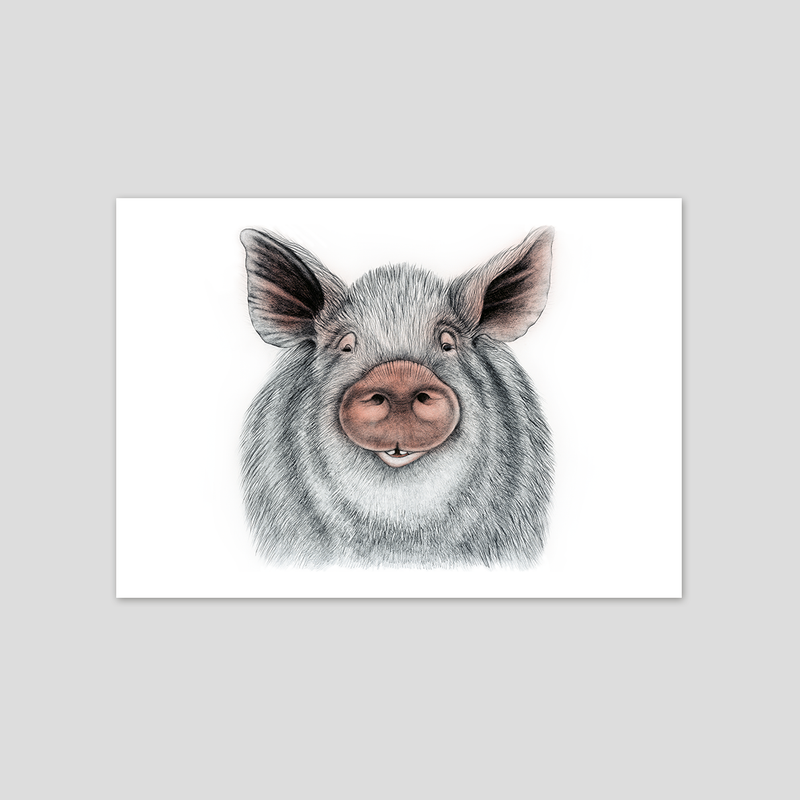 Oscar - Fine art print