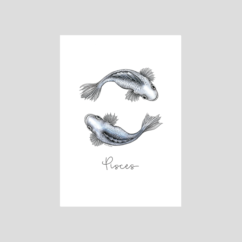 Pisces - Fine art print