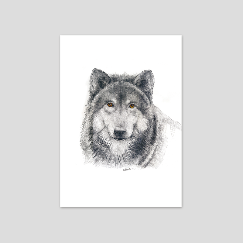 Woolfie - Fine art print