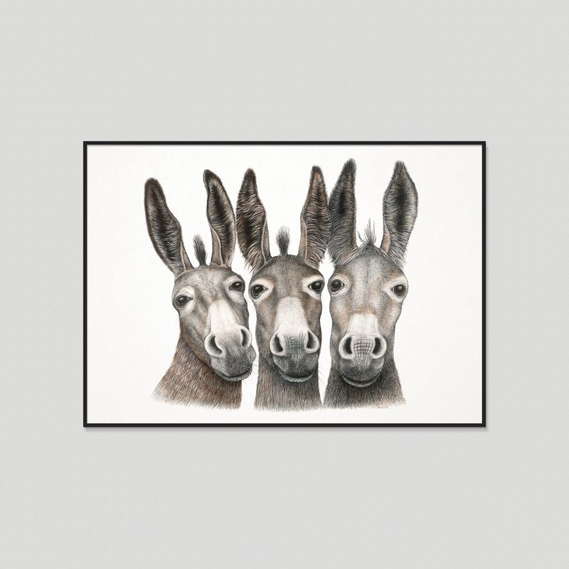 Amigos - Fine art print