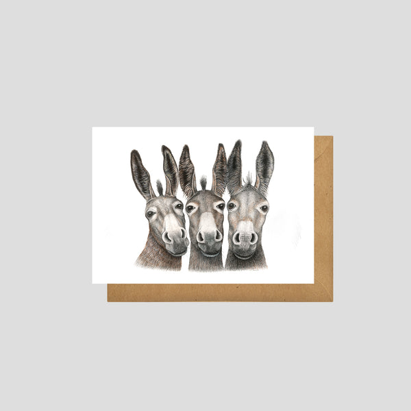 Amigos - Postcard