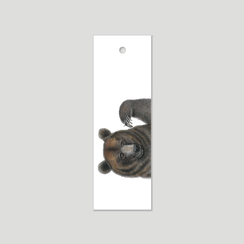 Bruno & Andy - bear - Bookmark