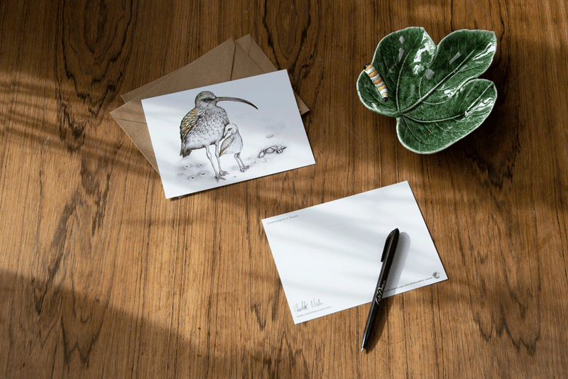 curlew bird card