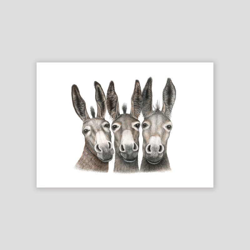 Amigos - Fine art print