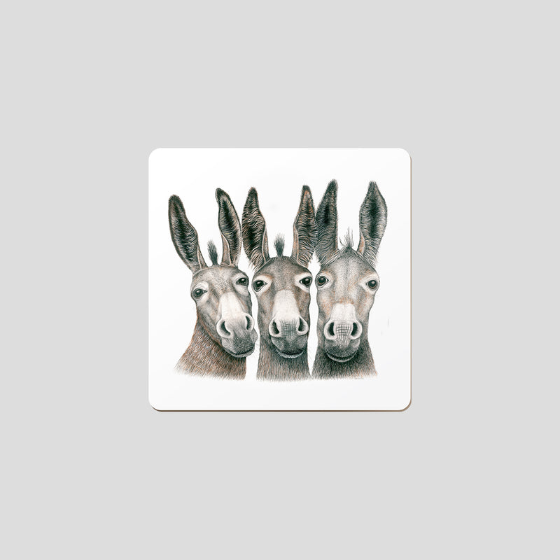 Amigos - coaster