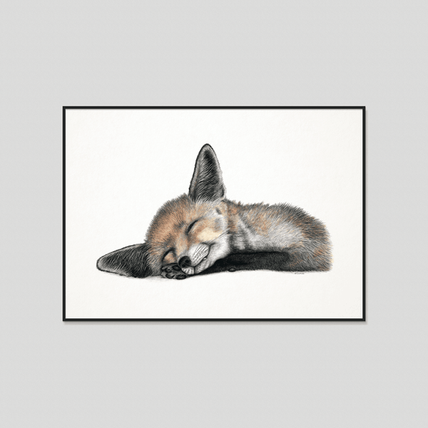 Felix - Fine art print