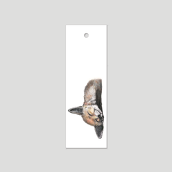 Felix  - Bookmark