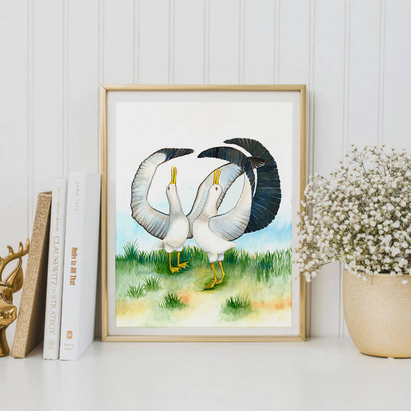 fine art print two albatross birds