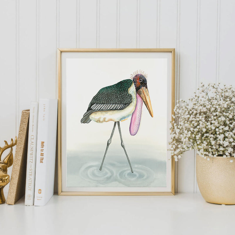 marabou bird art print