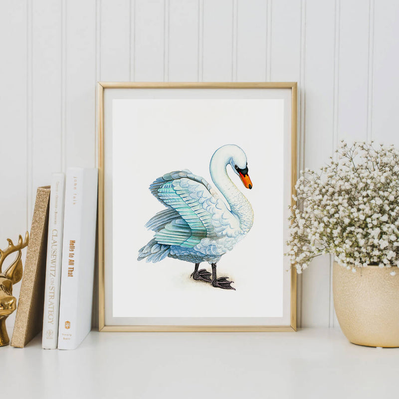 shawn the swan art print