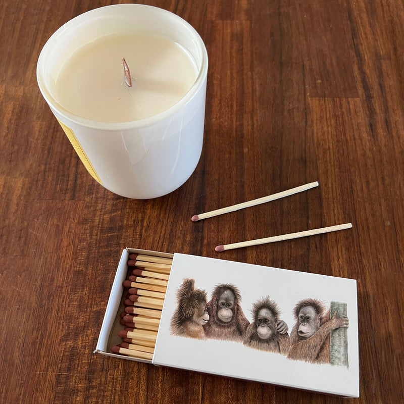 Girlfriends - Matchbox
