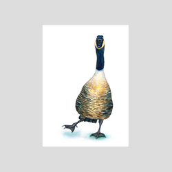 Gus the Goose - Fine art print