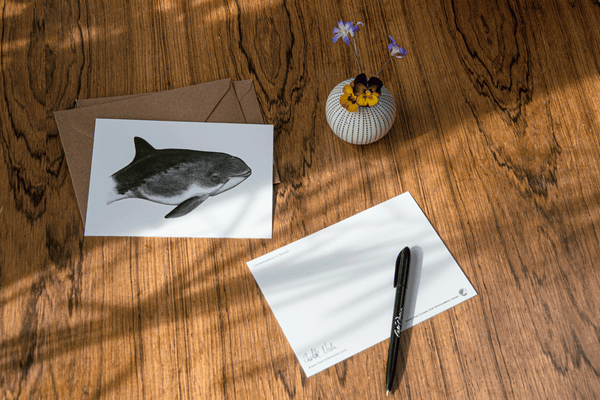 harbour porpoise card