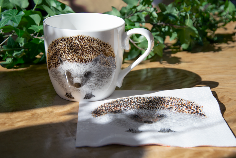 Henry  - Mug
