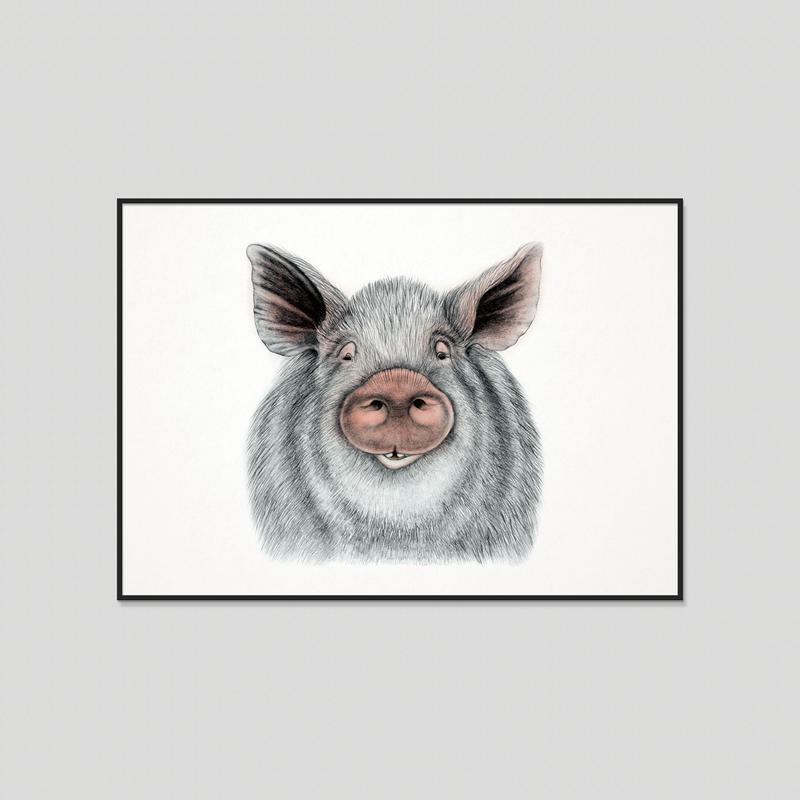 Oscar - Fine art print