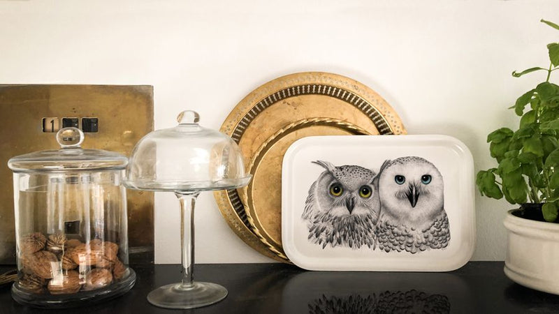 owl tray