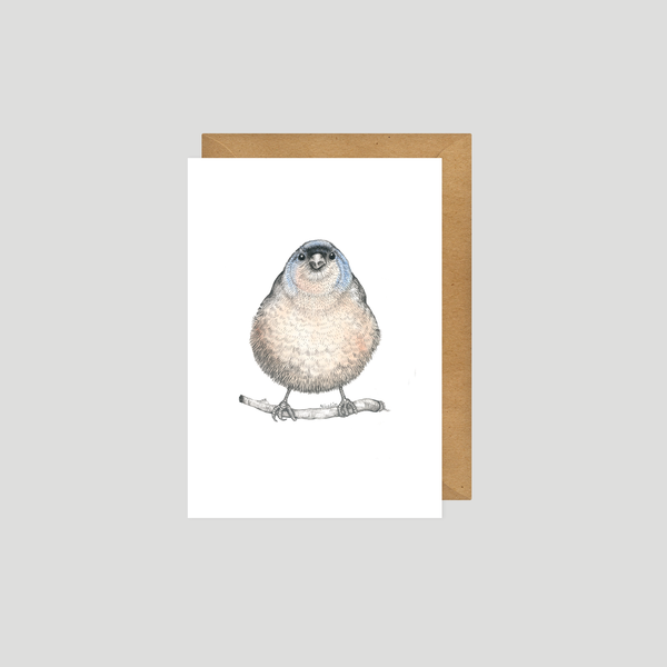 Tom - Postcard