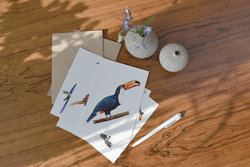 tony the toucan art card