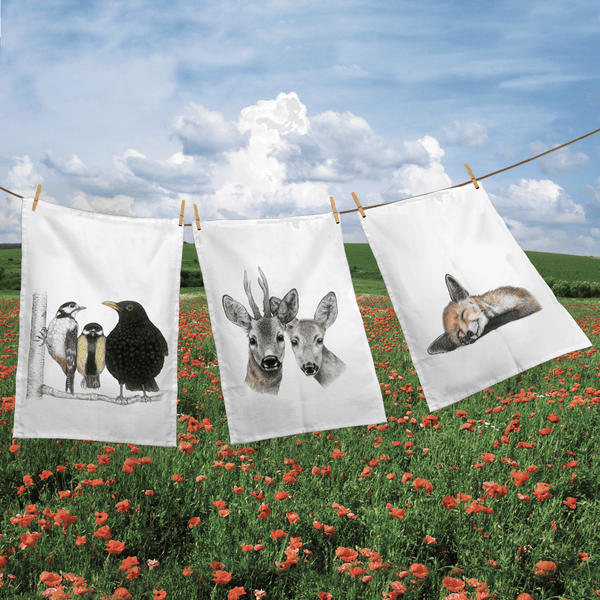 cute kitchen towels