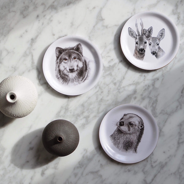 mini trays