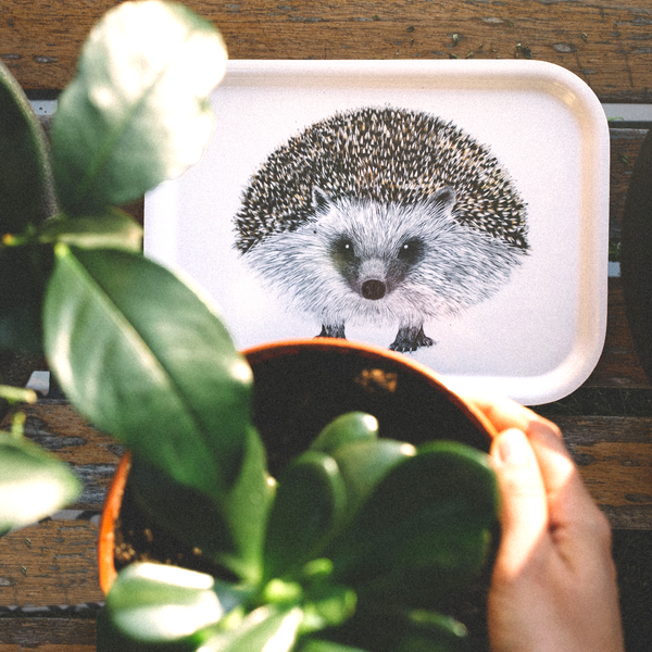 Henry - Tray